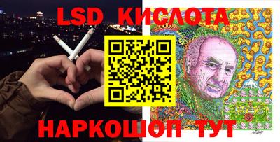 стаф Донецк
