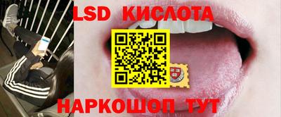 стаф Донецк