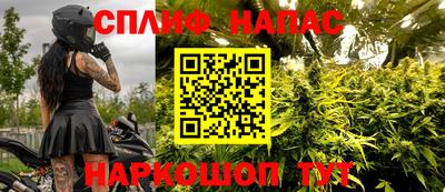 стаф Донецк