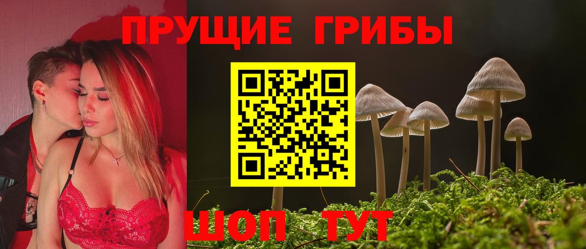 Галлюциногенные грибы Psilocybine cubensis  Галлюциногенные грибы GOLDEN TEACHER  Минеральные Воды  Вход с VPN 